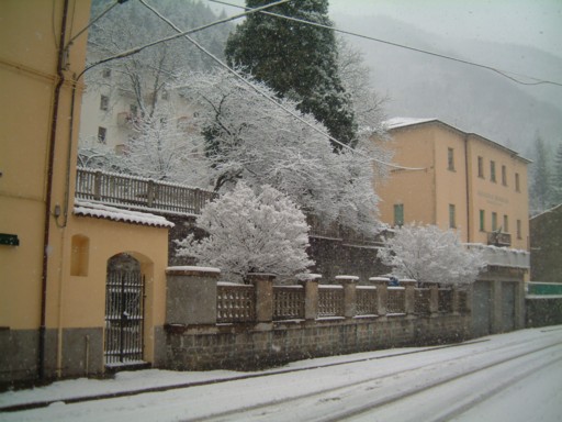  Image name: DSCF5062.JPG 
 width: 512 pixel 
 height: 384 pixel 
 Size: 55789 bytes 
 Click to enlarge 